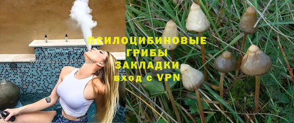 ГАЛЛЮЦИНОГЕННЫЕ ГРИБЫ Балахна