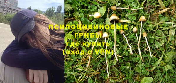 ГАЛЛЮЦИНОГЕННЫЕ ГРИБЫ Балахна