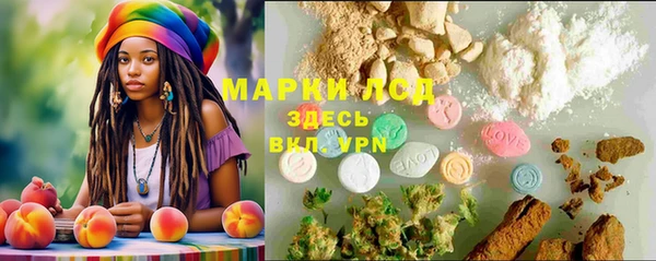 ГАЛЛЮЦИНОГЕННЫЕ ГРИБЫ Балахна