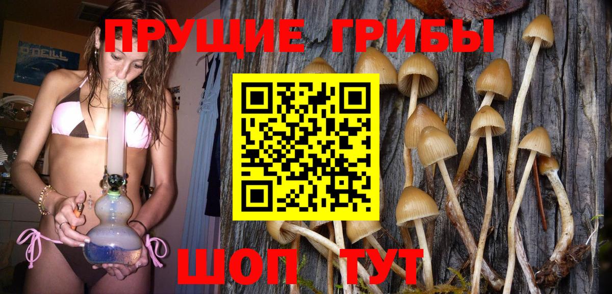 Галлюциногенные грибы ЛСД Можга