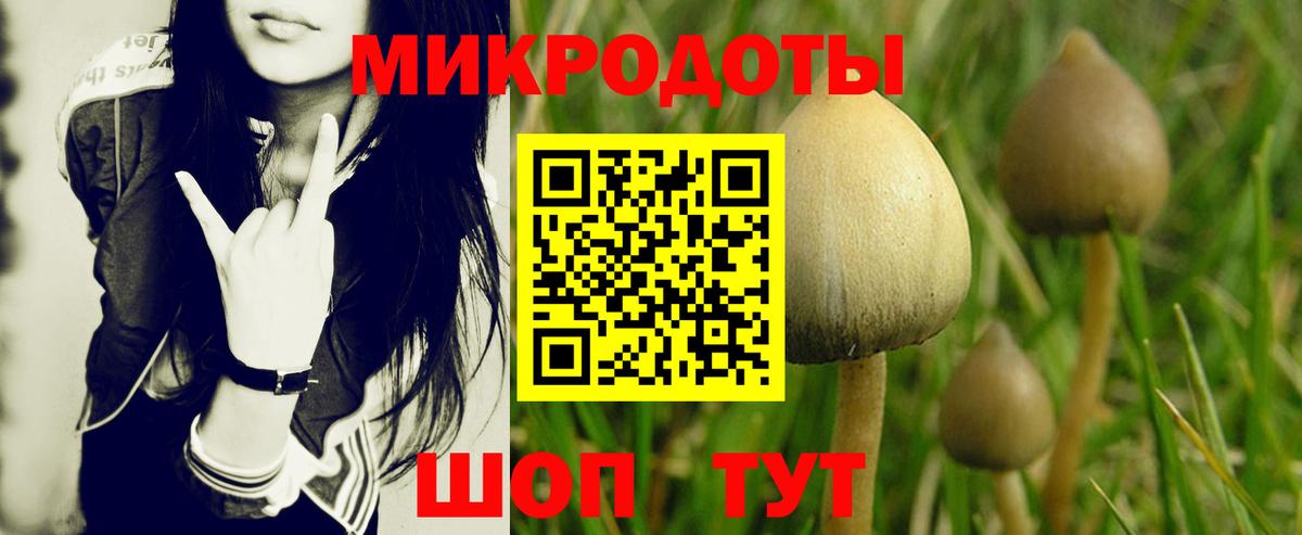 Галлюциногенные грибы прущие грибы  Вход с VPN  Можга 
